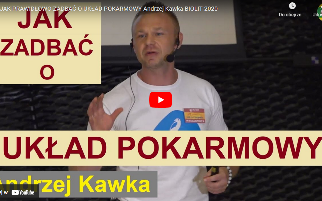 Jak prawidłowo zadbać o układ pokarmowy – Andrzej Kawka [NAGRANIE]