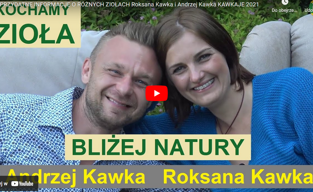 Kochamy zioła – Andrzej i Roksana Kawka [NAGRANIE]