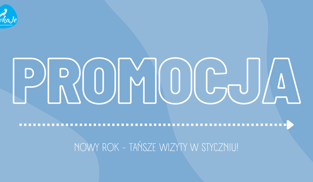 Styczniowa obniżka cen [PROMOCJA]