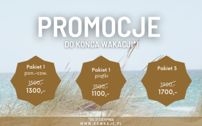 Promocja wakacyjna [INFORMACJA]